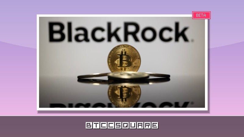 급등의 함정? 10x리서치, 블랙록 새 비트코인 ETF 경고…"ATH 돌파에도 10% 급락 예상"