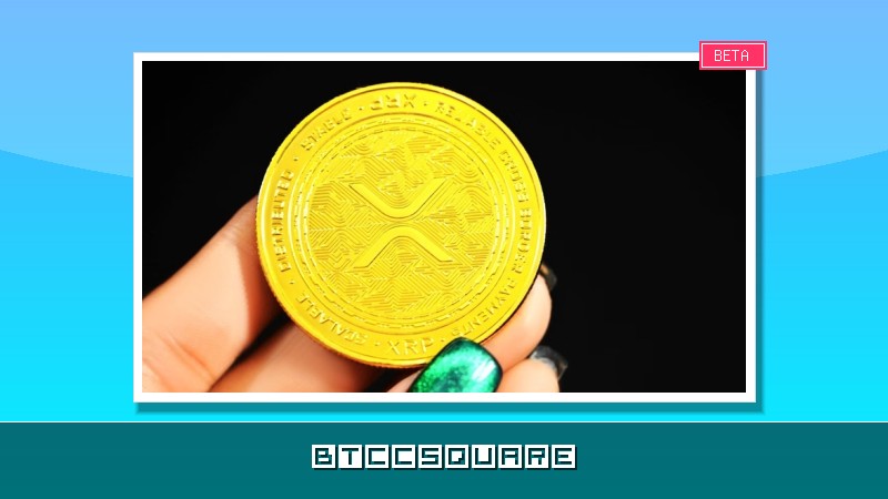 리플(XRP) 1년 만에 지갑 흐름 ’마이너스’ 전환…’고래들은 이탈, 개미들만 덜미’ 경고음