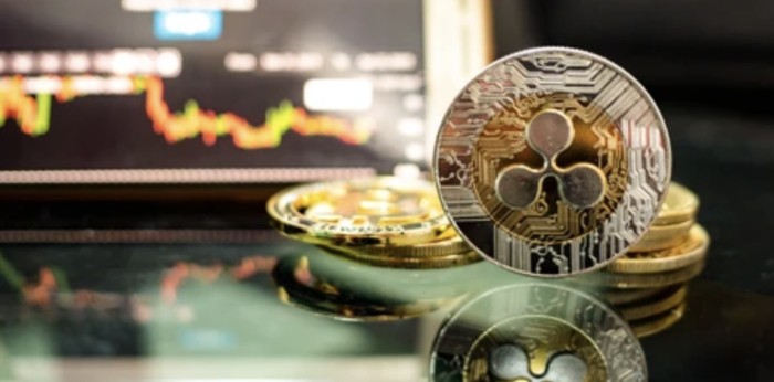 리플 CTO "XRP 50달러 전망은 음모론"…과도한 강세론에 제동