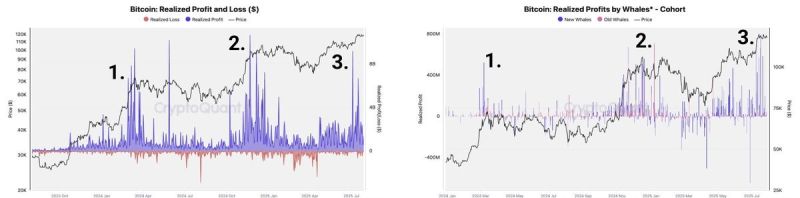 比特幣在本輪牛市中迎來第三次主要獲利了結波。出處:CryptoQuant