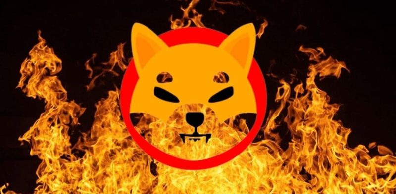 Shiba Inu yakım süreci infografiği