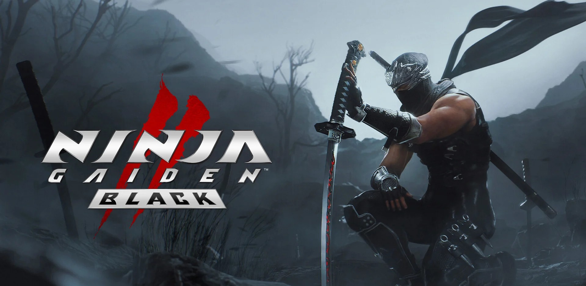 Ninja Gaiden