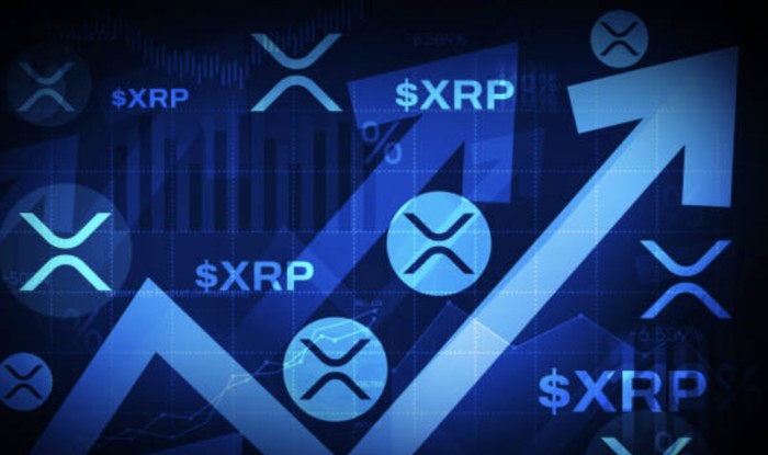 XRP, 9달러 고지 향한 폭발적 상승 준비 완료... 전문가 "지금이 절호의 기회"