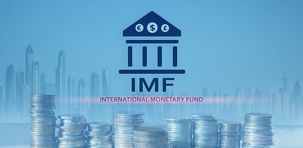 XRPL 검증인 경고: "IMF가 지적한 토큰화 문제, XRP가 이미 상당 부분 해결"
