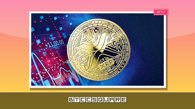 "XRP는 죽지 않는다" 고점 대비 64% 폭락에도 반등 신호 포착…핵심 지표 3가지 주목