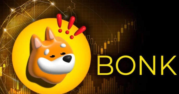 BONK 생태계
