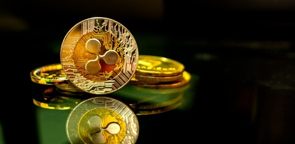 찰스 호스킨슨 경고: "XRP, 테더와 동일한 위험 구조…수익은 리플이, 리스크는 투자자 부담"