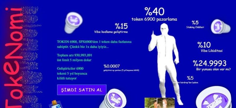 TOKEN6900 Tokenomik