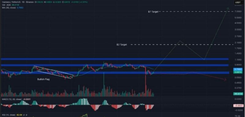 cardano işlem grafiği