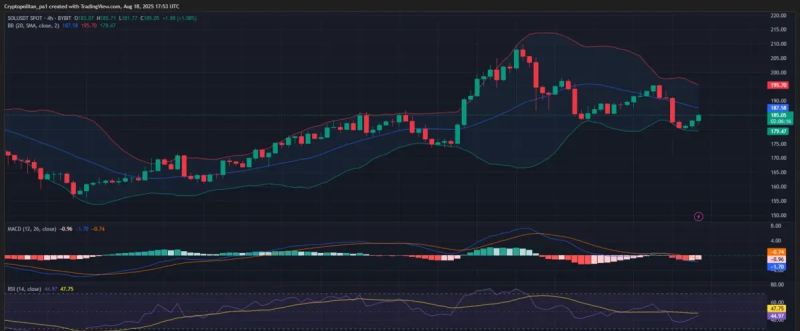 SOL/USDT 4시간 차트 by TradingView
