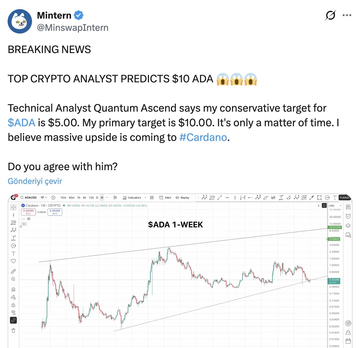 Cardano Fiyat Analizi