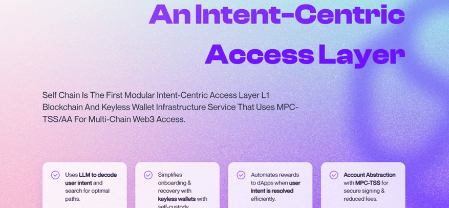 SLF Coin Alım Adımları