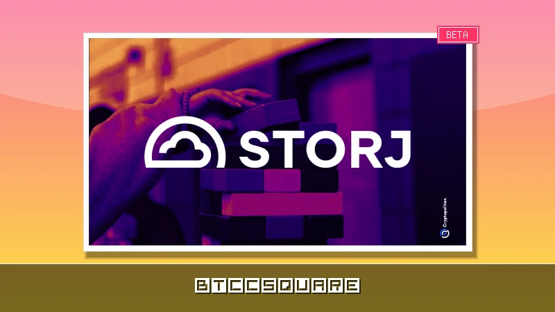 Storj Labs beantragt Chapter-11-Insolvenz – Schlüssel zur Tilgung von Altlasten und Neuanfang