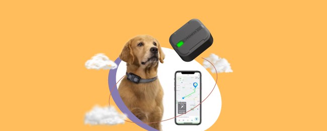 Dogness Corporation