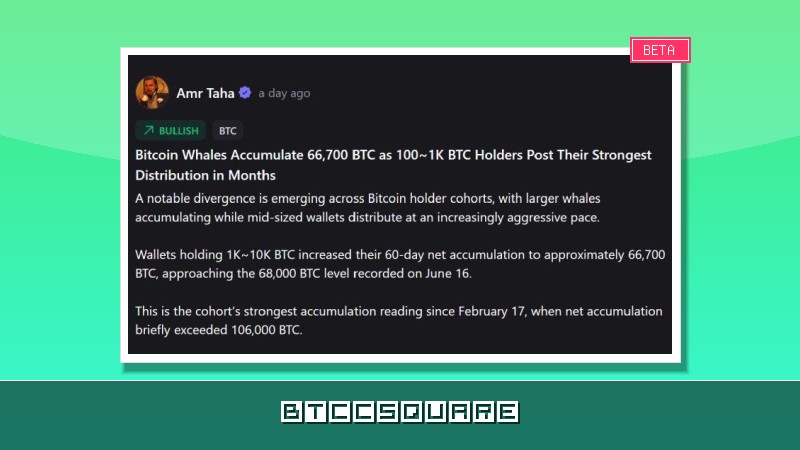 「クジラ」対「中堅保有者」：ビットコイン保有構造の劇的変化が市場を二分、10%調整の警告も