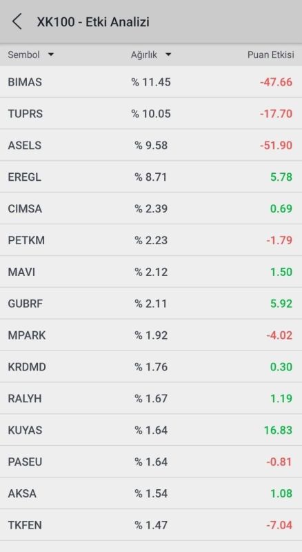BIST 100 Hisse Ağırlıkları