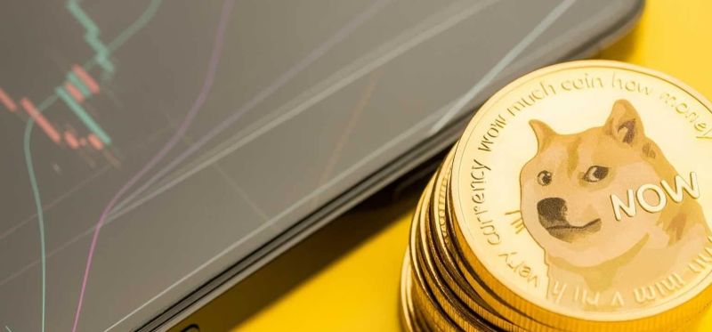 Dogecoin 2025 Yorumları