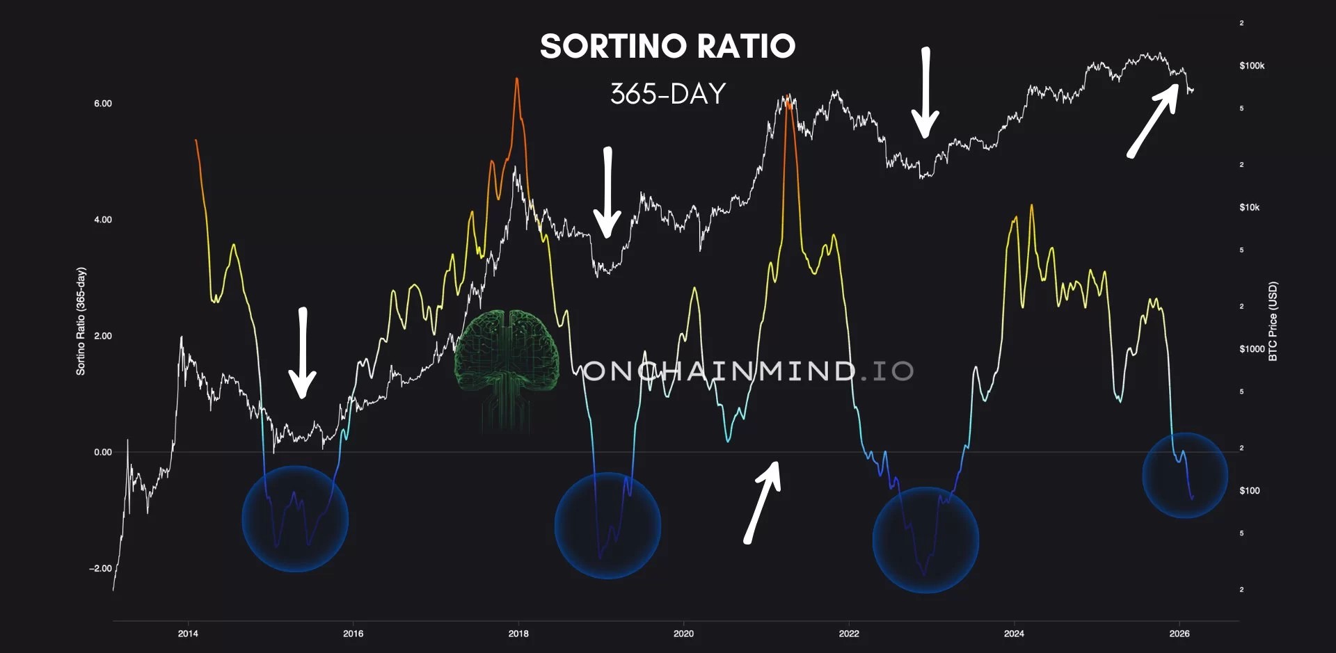 Bitcoin Sortino Oranı 2026