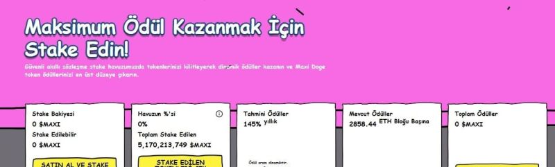 12,8 Katlık Beklenti ve 2025 Öngörüleri