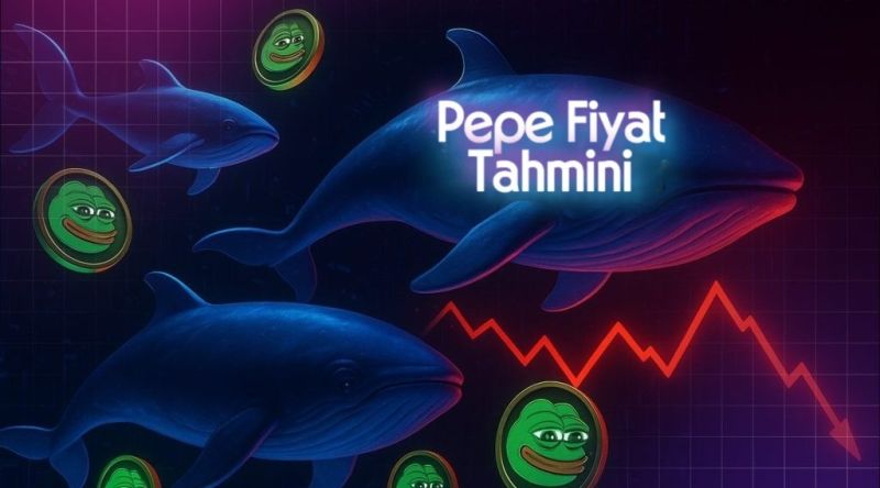 Pepe fiyat analizi grafiği