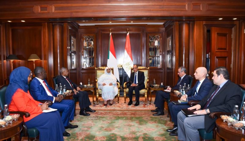 اجتماع مسؤولين مصريين وسودانيين