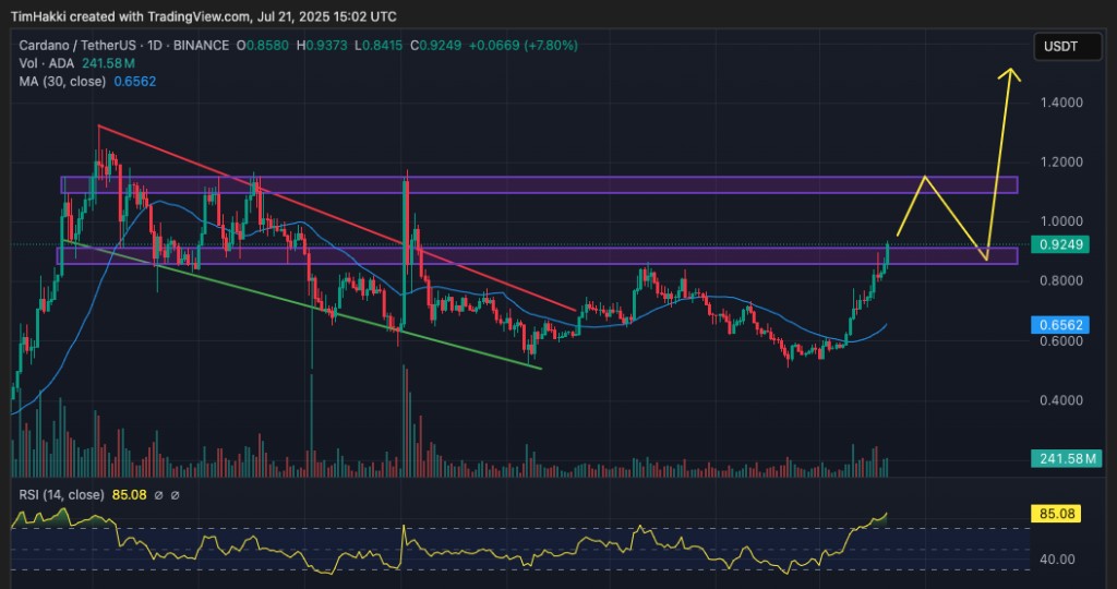 Cardano Fiyat Grafiği