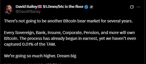 David Bailey'in Bitcoin Açıklaması