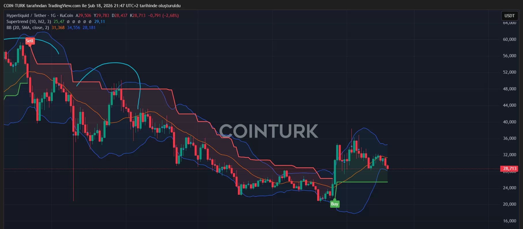 HYPE Coin Fiyat Grafiği