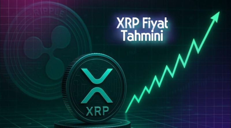 XRP fiyat grafiği ve balina alımları