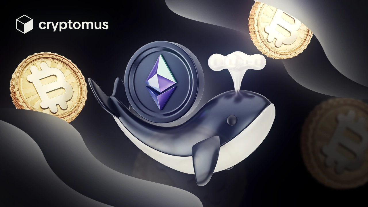 Elon Musk'un Kripto Seçimleri