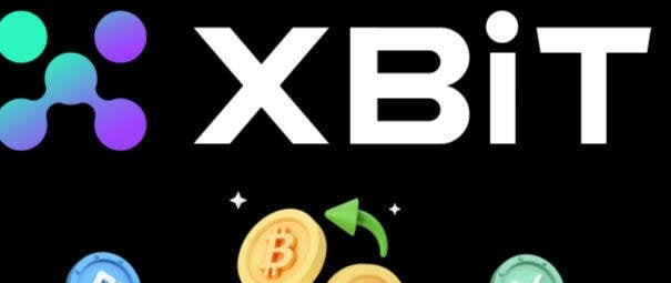 2025년 DEX 사용 통계