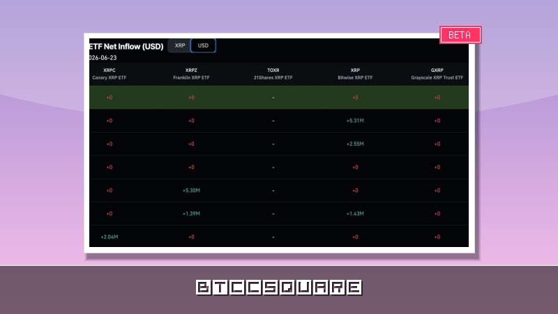 Alerte XRP : 53,8 % des flux Binance en retraits massifs, signe d’une correction imminente de 10 % ?