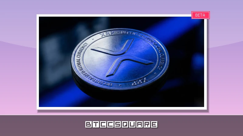XRP Ledger Active Accounts Plummet 61%: What This Warning Means for Your Portfolio