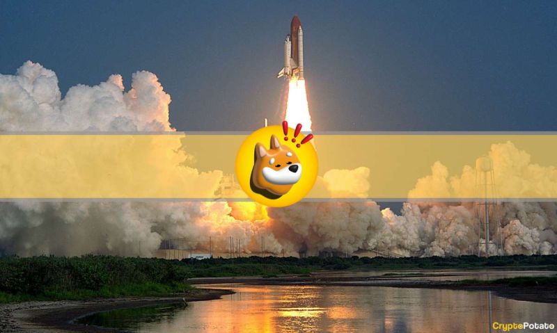 Bonk Inu Roket Kapak Resmi