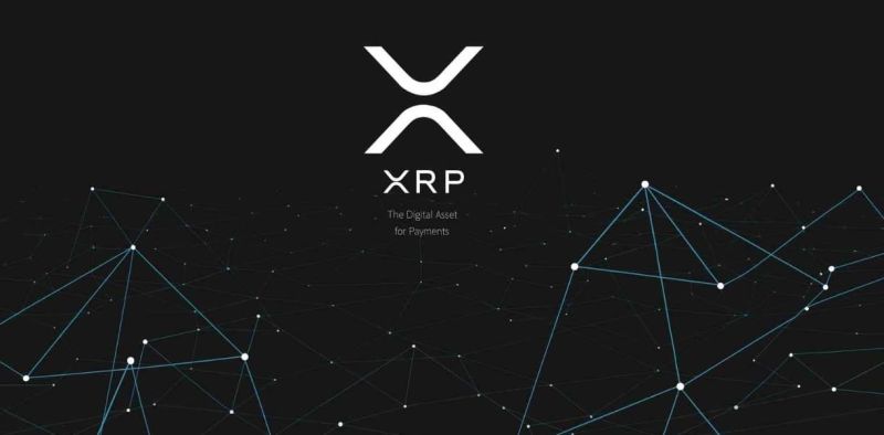 Ripple CTO David Schwartz