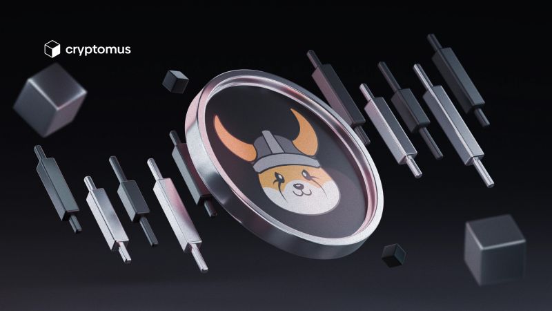 Floki Coin Fiyat Grafiği